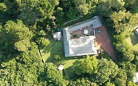 bWhale guest house