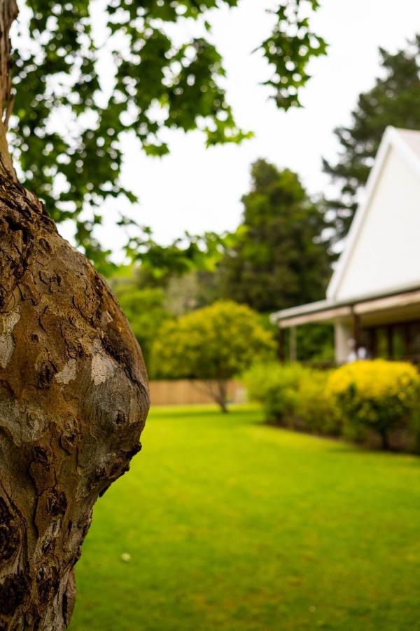 bWhale guest house Knysna Extérieur photo